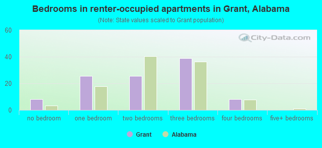Bedrooms in renter-occupied apartments in Grant, Alabama