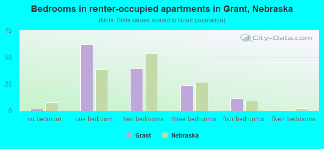 Bedrooms in renter-occupied apartments in Grant, Nebraska