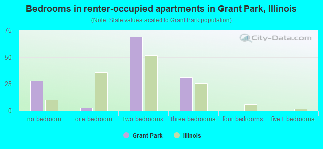 Bedrooms in renter-occupied apartments in Grant Park, Illinois