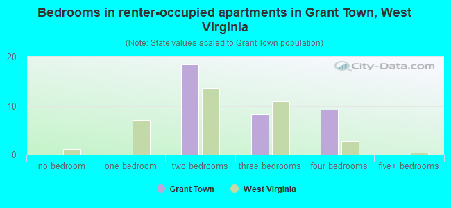 Bedrooms in renter-occupied apartments in Grant Town, West Virginia