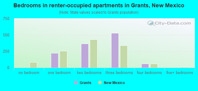 Bedrooms in renter-occupied apartments in Grants, New Mexico