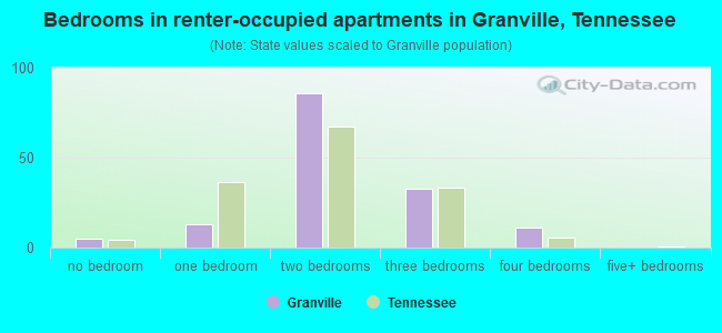 Bedrooms in renter-occupied apartments in Granville, Tennessee