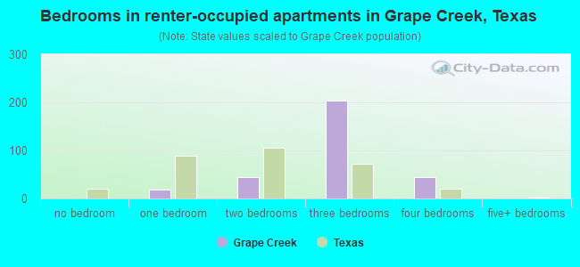 Bedrooms in renter-occupied apartments in Grape Creek, Texas