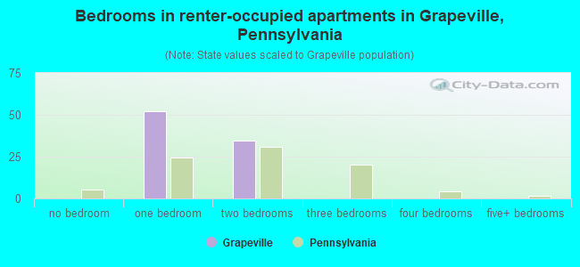 Bedrooms in renter-occupied apartments in Grapeville, Pennsylvania