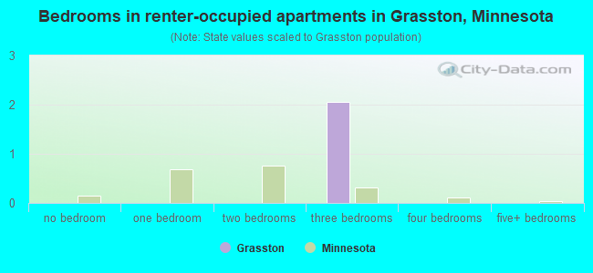 Bedrooms in renter-occupied apartments in Grasston, Minnesota