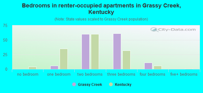 Bedrooms in renter-occupied apartments in Grassy Creek, Kentucky