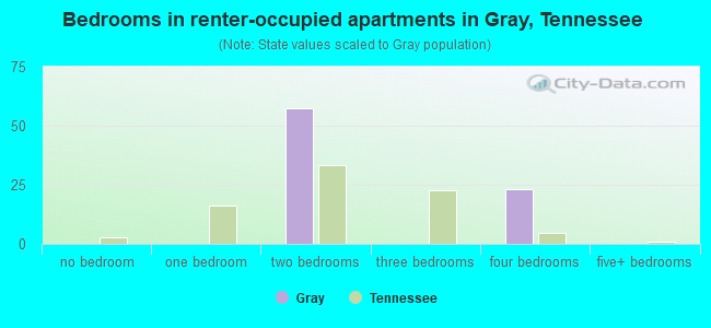 Bedrooms in renter-occupied apartments in Gray, Tennessee