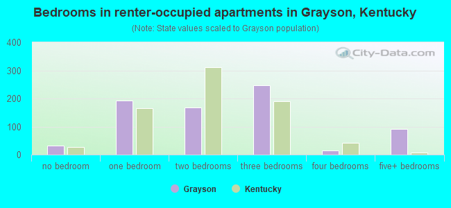 Bedrooms in renter-occupied apartments in Grayson, Kentucky