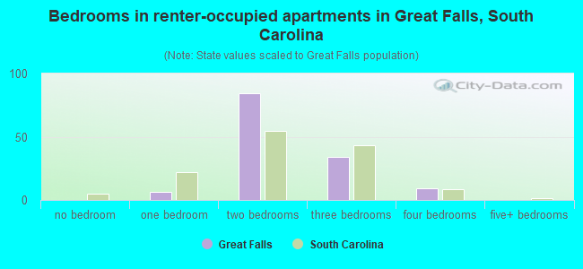 Bedrooms in renter-occupied apartments in Great Falls, South Carolina
