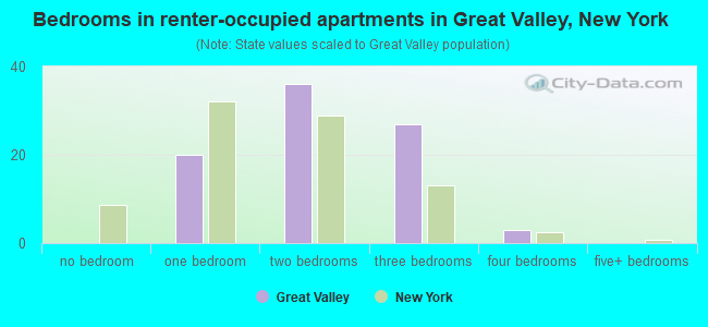 Bedrooms in renter-occupied apartments in Great Valley, New York