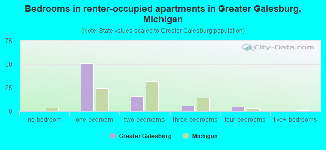 Bedrooms in renter-occupied apartments in Greater Galesburg, Michigan