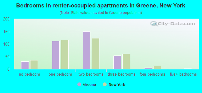 Bedrooms in renter-occupied apartments in Greene, New York