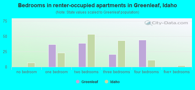 Bedrooms in renter-occupied apartments in Greenleaf, Idaho