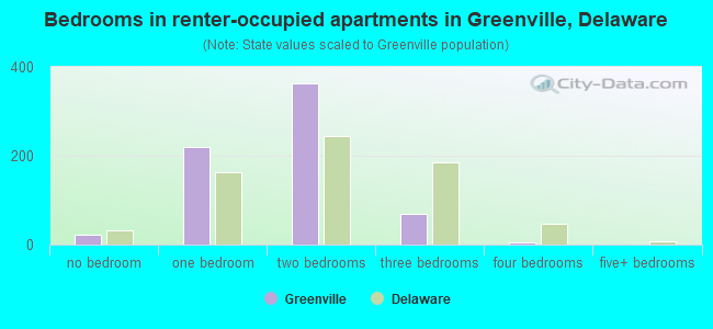 Bedrooms in renter-occupied apartments in Greenville, Delaware