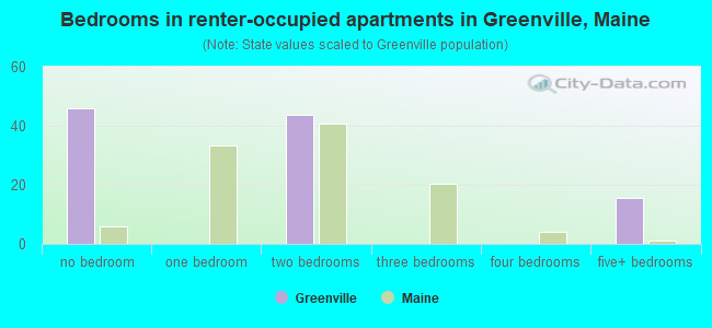 Bedrooms in renter-occupied apartments in Greenville, Maine