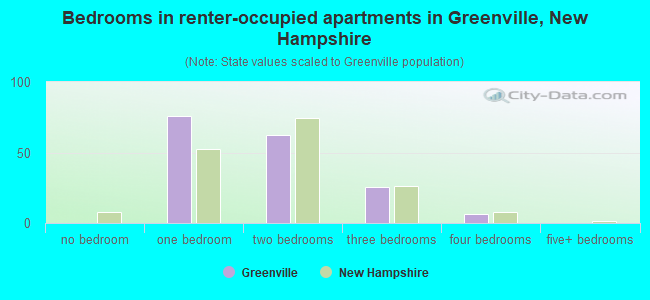 Bedrooms in renter-occupied apartments in Greenville, New Hampshire