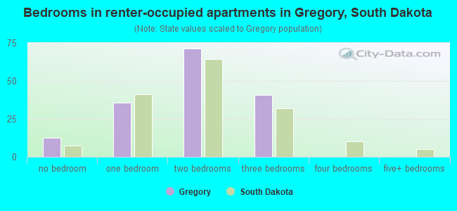 Bedrooms in renter-occupied apartments in Gregory, South Dakota
