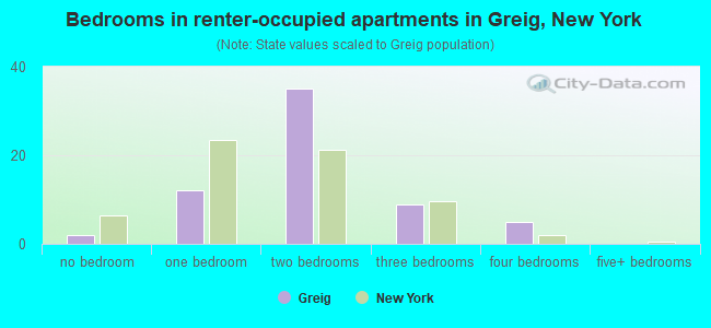 Bedrooms in renter-occupied apartments in Greig, New York