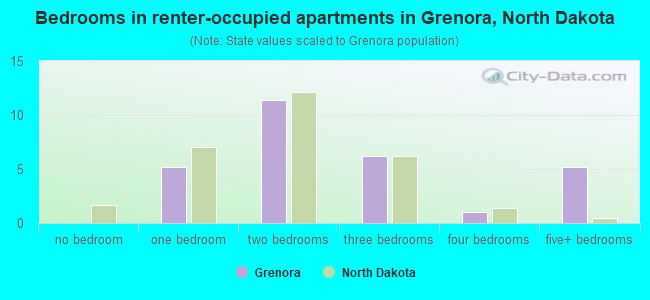 Bedrooms in renter-occupied apartments in Grenora, North Dakota