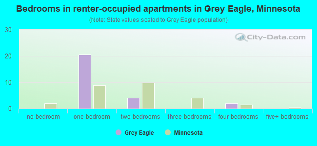 Bedrooms in renter-occupied apartments in Grey Eagle, Minnesota