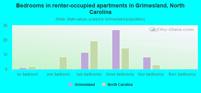 Bedrooms in renter-occupied apartments in Grimesland, North Carolina