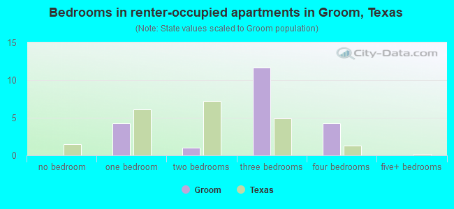 Bedrooms in renter-occupied apartments in Groom, Texas