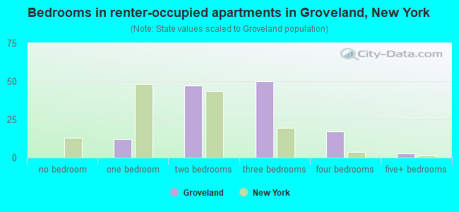 Bedrooms in renter-occupied apartments in Groveland, New York