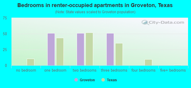 Bedrooms in renter-occupied apartments in Groveton, Texas