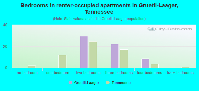 Bedrooms in renter-occupied apartments in Gruetli-Laager, Tennessee