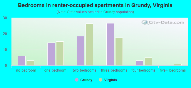 Bedrooms in renter-occupied apartments in Grundy, Virginia