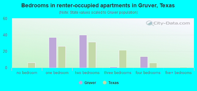 Bedrooms in renter-occupied apartments in Gruver, Texas