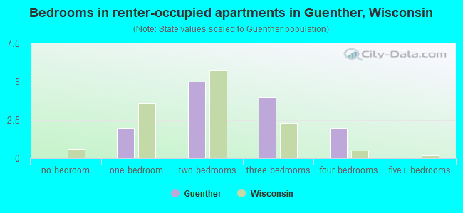 Bedrooms in renter-occupied apartments in Guenther, Wisconsin