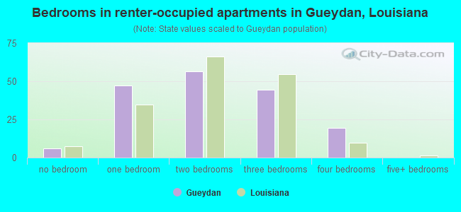 Bedrooms in renter-occupied apartments in Gueydan, Louisiana