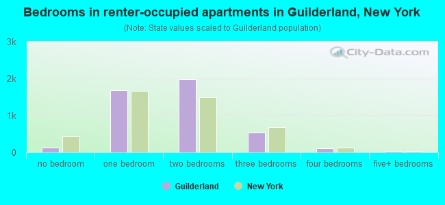 Bedrooms in renter-occupied apartments in Guilderland, New York