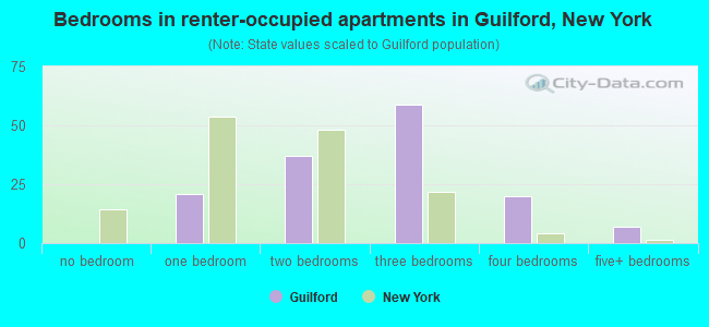 Bedrooms in renter-occupied apartments in Guilford, New York