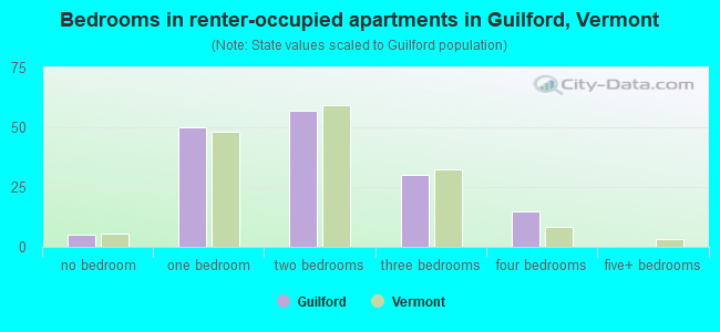 Bedrooms in renter-occupied apartments in Guilford, Vermont