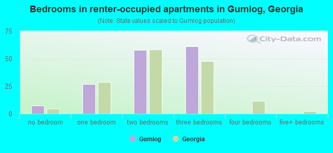 Bedrooms in renter-occupied apartments in Gumlog, Georgia