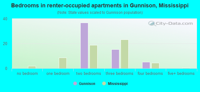 Bedrooms in renter-occupied apartments in Gunnison, Mississippi