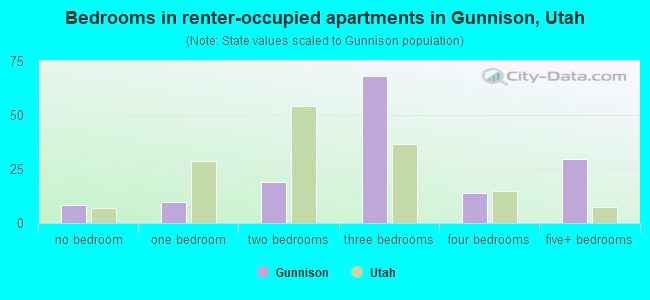 Bedrooms in renter-occupied apartments in Gunnison, Utah