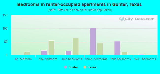 Bedrooms in renter-occupied apartments in Gunter, Texas