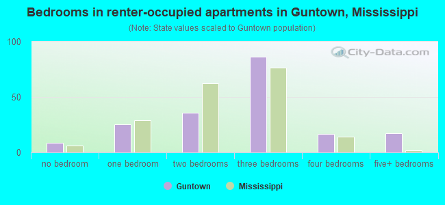 Bedrooms in renter-occupied apartments in Guntown, Mississippi