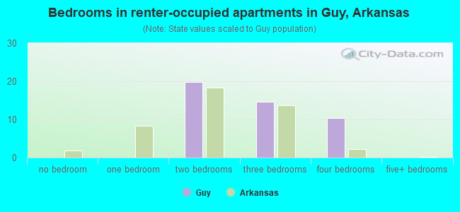 Bedrooms in renter-occupied apartments in Guy, Arkansas