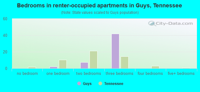 Bedrooms in renter-occupied apartments in Guys, Tennessee