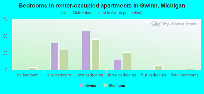 Bedrooms in renter-occupied apartments in Gwinn, Michigan