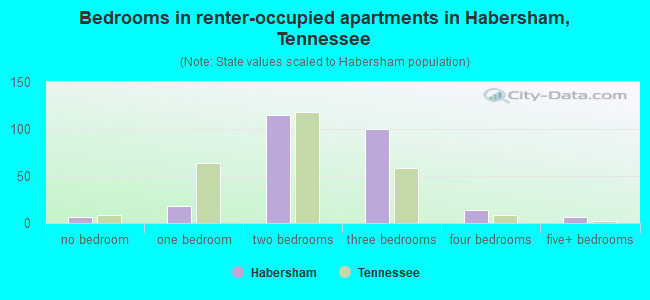 Bedrooms in renter-occupied apartments in Habersham, Tennessee