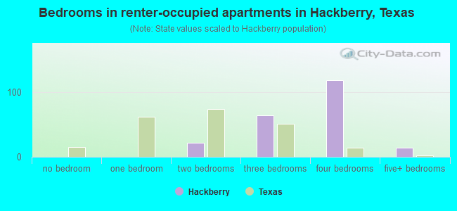 Bedrooms in renter-occupied apartments in Hackberry, Texas