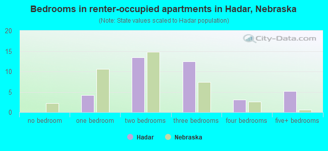 Bedrooms in renter-occupied apartments in Hadar, Nebraska