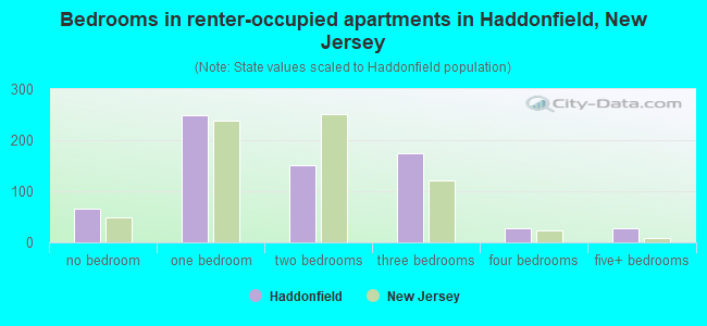 Bedrooms in renter-occupied apartments in Haddonfield, New Jersey