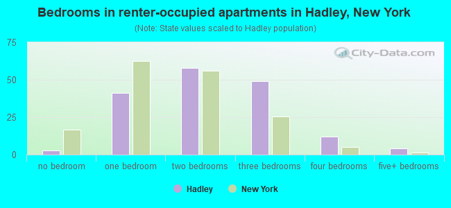 Bedrooms in renter-occupied apartments in Hadley, New York