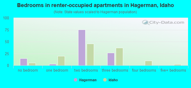 Bedrooms in renter-occupied apartments in Hagerman, Idaho